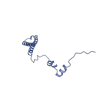 13683_7pwo_h2_v1-0
Cryo-EM structure of Giardia lamblia ribosome at 2.75 A resolution