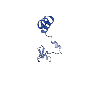 13683_7pwo_j2_v1-0
Cryo-EM structure of Giardia lamblia ribosome at 2.75 A resolution