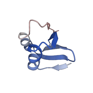 13683_7pwo_k2_v1-0
Cryo-EM structure of Giardia lamblia ribosome at 2.75 A resolution