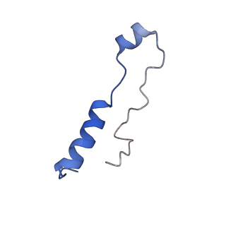 13683_7pwo_l2_v1-0
Cryo-EM structure of Giardia lamblia ribosome at 2.75 A resolution