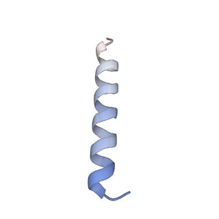 13683_7pwo_n1_v1-0
Cryo-EM structure of Giardia lamblia ribosome at 2.75 A resolution