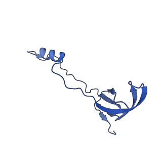13683_7pwo_o2_v1-0
Cryo-EM structure of Giardia lamblia ribosome at 2.75 A resolution