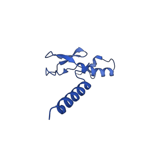 13683_7pwo_p2_v1-0
Cryo-EM structure of Giardia lamblia ribosome at 2.75 A resolution