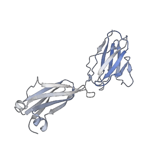 17993_8pwh_A_v1-0
Atomic structure and conformational variability of the HER2-Trastuzumab-Pertuzumab complex