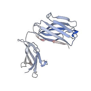 17993_8pwh_B_v1-0
Atomic structure and conformational variability of the HER2-Trastuzumab-Pertuzumab complex