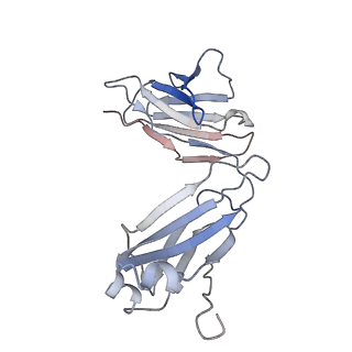 17993_8pwh_C_v1-0
Atomic structure and conformational variability of the HER2-Trastuzumab-Pertuzumab complex