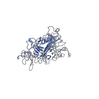 17993_8pwh_E_v1-0
Atomic structure and conformational variability of the HER2-Trastuzumab-Pertuzumab complex