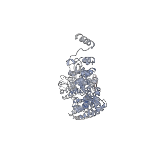 17994_8pwl_A_v1-2
Cryo-EM structure of a full-length HACE1 dimer