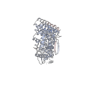 17994_8pwl_B_v1-0
Cryo-EM structure of a full-length HACE1 dimer