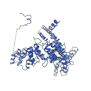 20498_6pw4_C_v1-1
Cryo-EM Structure of Thermo-Sensitive TRP Channel TRP1 from the Alga Chlamydomonas reinhardtii in Detergent