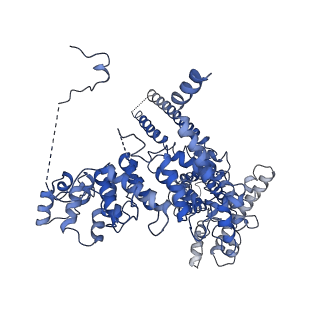 20498_6pw4_C_v1-2
Cryo-EM Structure of Thermo-Sensitive TRP Channel TRP1 from the Alga Chlamydomonas reinhardtii in Detergent