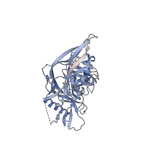 20500_6pw6_A_v1-0
The HIV-1 Envelope Glycoprotein Clone BG505 SOSIP.664 in Complex with Three Copies of the Bovine Broadly Neutralizing Antibody, NC-Cow1, Fragment Antigen Binding Domain
