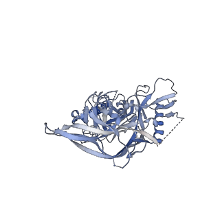 20500_6pw6_C_v1-0
The HIV-1 Envelope Glycoprotein Clone BG505 SOSIP.664 in Complex with Three Copies of the Bovine Broadly Neutralizing Antibody, NC-Cow1, Fragment Antigen Binding Domain