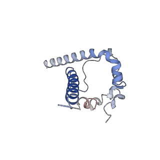 20500_6pw6_D_v1-0
The HIV-1 Envelope Glycoprotein Clone BG505 SOSIP.664 in Complex with Three Copies of the Bovine Broadly Neutralizing Antibody, NC-Cow1, Fragment Antigen Binding Domain