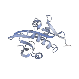 20501_6pw9_A_v1-2
Cryo-EM structure of human NatE/HYPK complex