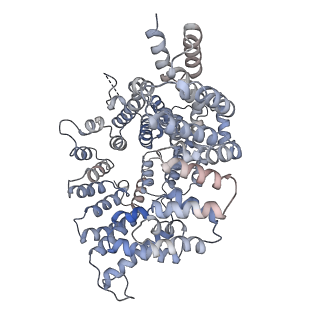 20501_6pw9_B_v1-2
Cryo-EM structure of human NatE/HYPK complex