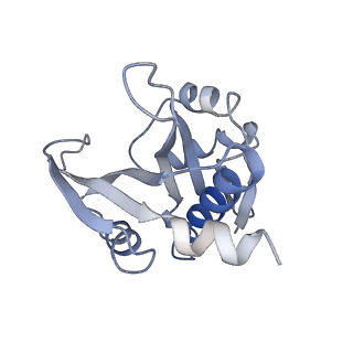 20501_6pw9_C_v1-2
Cryo-EM structure of human NatE/HYPK complex