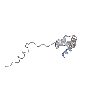 20501_6pw9_D_v1-2
Cryo-EM structure of human NatE/HYPK complex