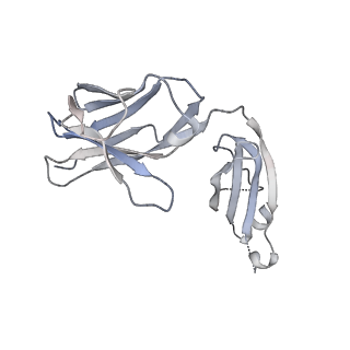 20505_6pwc_L_v1-2
A complex structure of arrestin-2 bound to neurotensin receptor 1