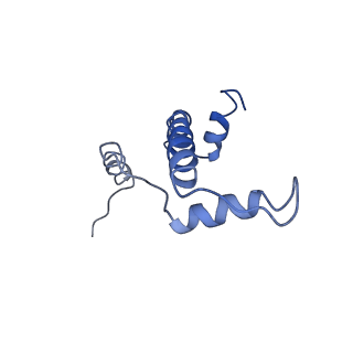 20506_6pwe_A_v1-3
Cryo-EM structure of nucleosome core particle