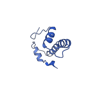 20506_6pwe_B_v1-4
Cryo-EM structure of nucleosome core particle