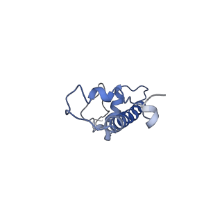 20506_6pwe_C_v1-3
Cryo-EM structure of nucleosome core particle