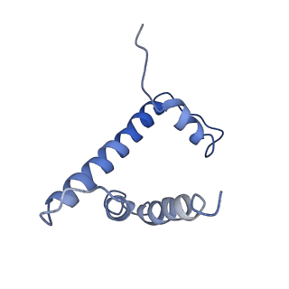 20506_6pwe_D_v1-3
Cryo-EM structure of nucleosome core particle