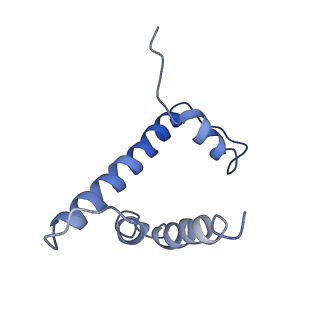 20506_6pwe_D_v1-4
Cryo-EM structure of nucleosome core particle