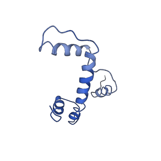 20506_6pwe_E_v1-3
Cryo-EM structure of nucleosome core particle