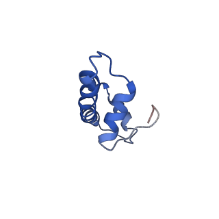 20506_6pwe_F_v1-3
Cryo-EM structure of nucleosome core particle