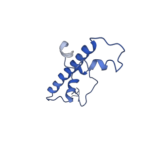 20506_6pwe_G_v1-3
Cryo-EM structure of nucleosome core particle
