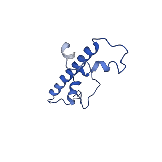 20506_6pwe_G_v1-4
Cryo-EM structure of nucleosome core particle