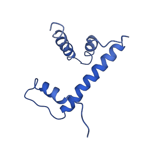 20506_6pwe_H_v1-3
Cryo-EM structure of nucleosome core particle