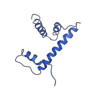 20506_6pwe_H_v1-4
Cryo-EM structure of nucleosome core particle