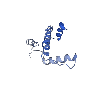 20507_6pwf_A_v1-3
Cryo-EM structure of the ATPase domain of chromatin remodeling factor ISWI bound to the nucleosome