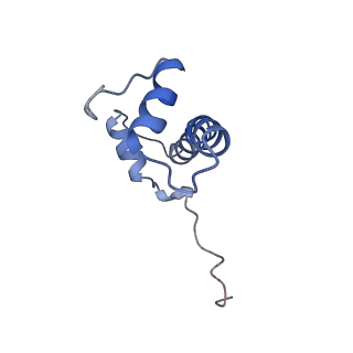 20507_6pwf_B_v1-3
Cryo-EM structure of the ATPase domain of chromatin remodeling factor ISWI bound to the nucleosome
