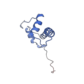 20507_6pwf_B_v1-4
Cryo-EM structure of the ATPase domain of chromatin remodeling factor ISWI bound to the nucleosome