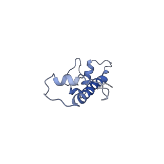 20507_6pwf_C_v1-3
Cryo-EM structure of the ATPase domain of chromatin remodeling factor ISWI bound to the nucleosome
