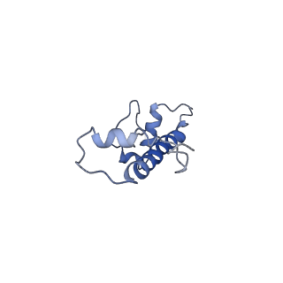 20507_6pwf_C_v1-4
Cryo-EM structure of the ATPase domain of chromatin remodeling factor ISWI bound to the nucleosome