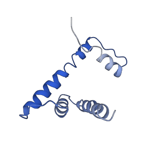 20507_6pwf_D_v1-3
Cryo-EM structure of the ATPase domain of chromatin remodeling factor ISWI bound to the nucleosome
