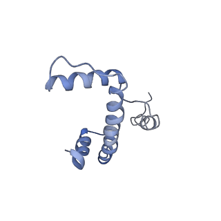 20507_6pwf_E_v1-4
Cryo-EM structure of the ATPase domain of chromatin remodeling factor ISWI bound to the nucleosome