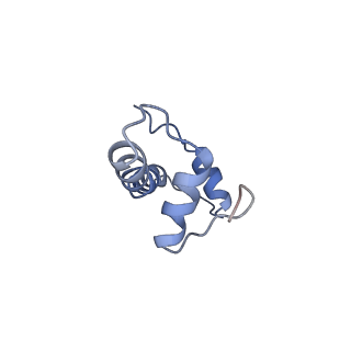 20507_6pwf_F_v1-3
Cryo-EM structure of the ATPase domain of chromatin remodeling factor ISWI bound to the nucleosome