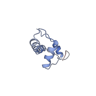 20507_6pwf_F_v1-4
Cryo-EM structure of the ATPase domain of chromatin remodeling factor ISWI bound to the nucleosome