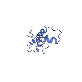 20507_6pwf_G_v1-3
Cryo-EM structure of the ATPase domain of chromatin remodeling factor ISWI bound to the nucleosome