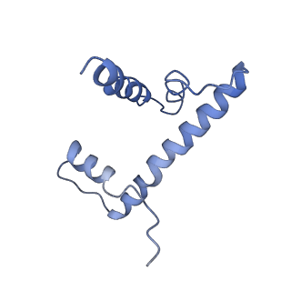 20507_6pwf_H_v1-4
Cryo-EM structure of the ATPase domain of chromatin remodeling factor ISWI bound to the nucleosome