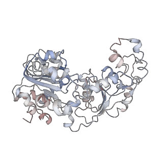 20507_6pwf_K_v1-3
Cryo-EM structure of the ATPase domain of chromatin remodeling factor ISWI bound to the nucleosome