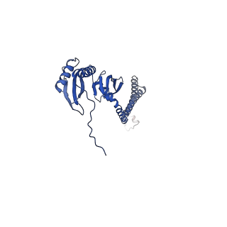 20508_6pwn_B_v1-1
MscS Nanodisc with N-terminal His-Tag