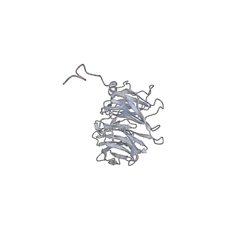 20513_6pww_A_v1-0
Cryo-EM structure of MLL1 in complex with RbBP5 and WDR5 bound to the nucleosome