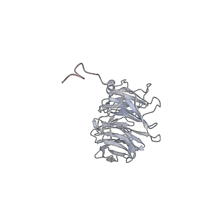 20513_6pww_A_v1-1
Cryo-EM structure of MLL1 in complex with RbBP5 and WDR5 bound to the nucleosome