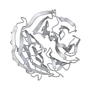 20513_6pww_B_v1-0
Cryo-EM structure of MLL1 in complex with RbBP5 and WDR5 bound to the nucleosome